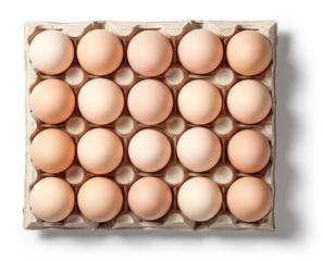 Chicken Eggs in Container