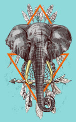illustration portrait of elephant