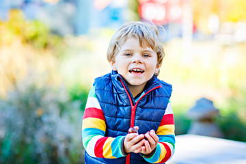 little blond kid boy playing with chestnuts in park.