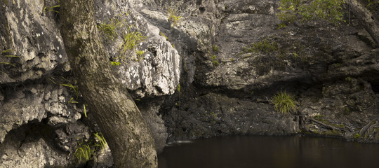 Waterfall near Montville, Sunshine Coast Hinterlands in Queensland.