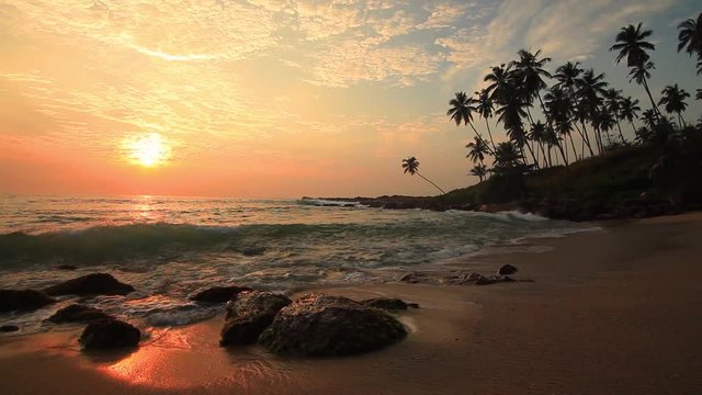 Sandy beach with palm trees at sunset