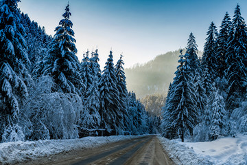 Winter mountain landscape © yanosh_nemesh