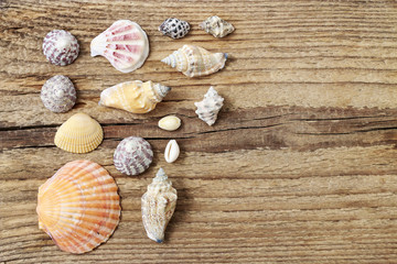 Seashells on a wooden background.