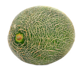 orange cantaloupe melon isolated on white background
