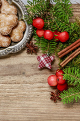 Christmas background with moss, fir, hypericum, gingerbread cook