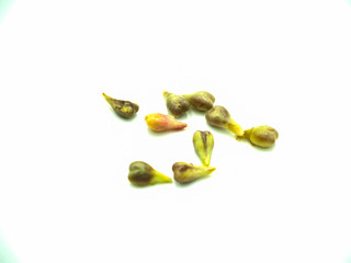 Seed grape on isolated white background