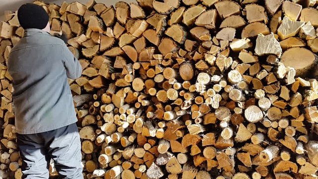 Man prepares firewood stack.winter and background stack