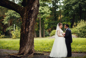 Brides stand near tree in park