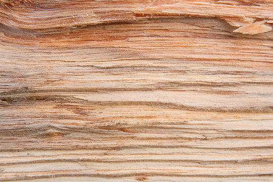 Abstract wooden texture.