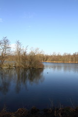 Fototapeta premium étang