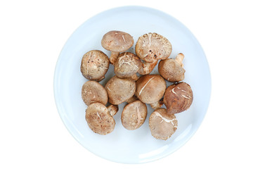 Shiitake mushroom on white plate isolated on white background