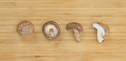 Row of Shiitake mushroom on wooden block