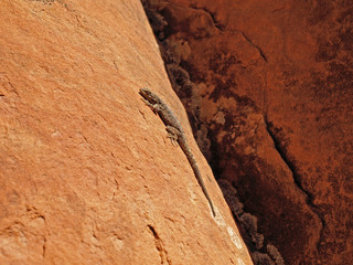 Arches National Park Utah