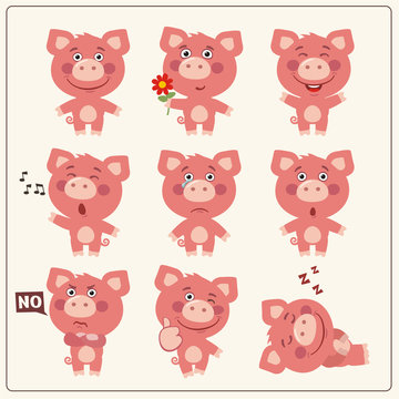 Funny little piggy pig set in different poses. Collection isolated pig in cartoon style.