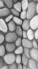 rock background in black and white tone