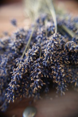 SONY DSC © Piotr Ciździel