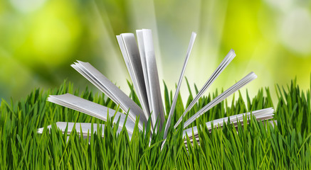 open book in the grass close-up