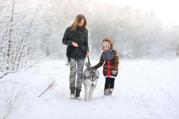 Fototapeta na wymiar family walks with a huskies