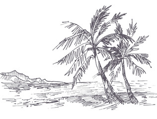 flat illustration vector palm trees and the sea