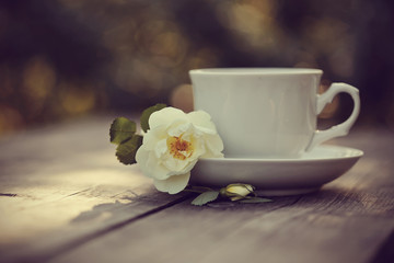 Obraz na płótnie Canvas White cup and a branch of the wild rose