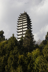 White oriental pagoda tower above trees