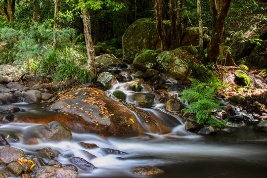 Cascade in the rainforest, Jourama Falls, Paluma Range National Park, Queensland, Australia