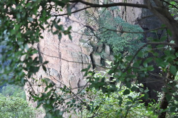 Wulingyuan