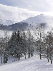 Montagne dans la brume