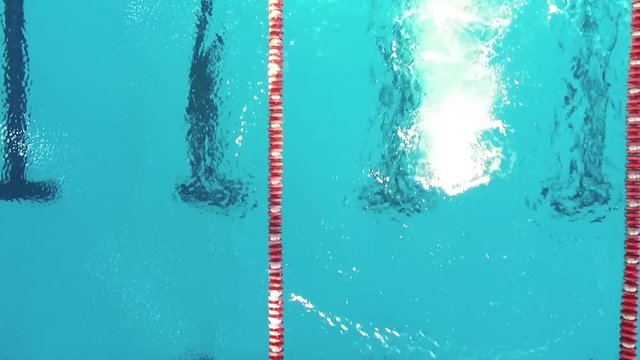 Aerial top view of swimmer jumps off starting block into pool water HD video. Professional male athlete training swimming