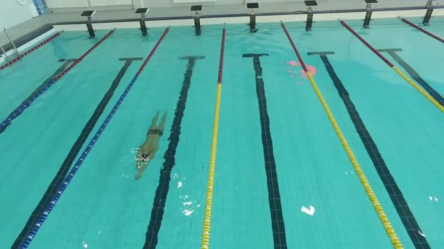 Flight over male swimmer swims in a pool HD video. Calm water surface. Professional athlete training underwater dolphin kick