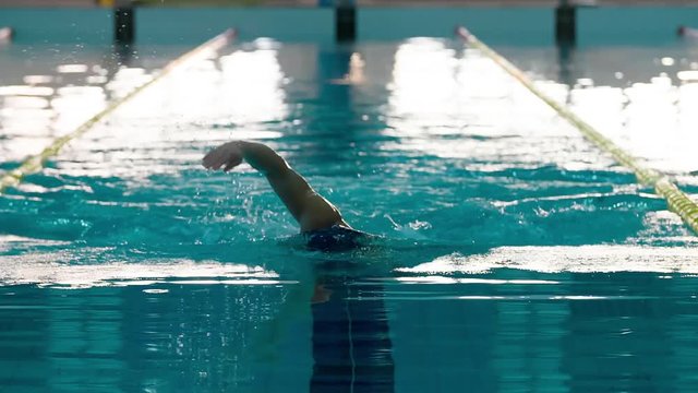 Male swimmer swims in pool HD video. Crawl freestyle training: arms moving. Professional man athlete on water lane.