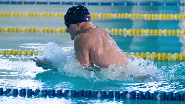 Male swimmer swims in pool HD slow-motion video. Breaststroke training of professional athlete: come up from water and dive. Side view