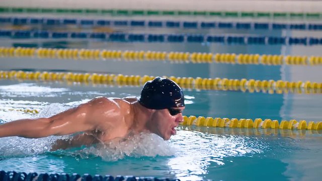 Male swimmer swims in pool HD slow-motion video. Butterfly training of professional athlete. Water splashing. Side view