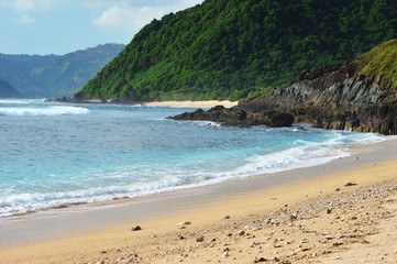 tropical beach 