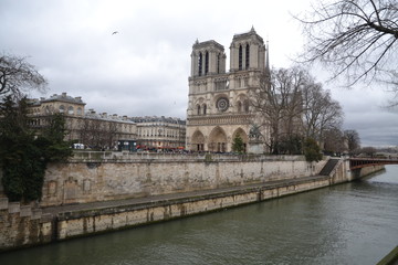 Fototapeta na wymiar Paris - Notre Dame (winter)