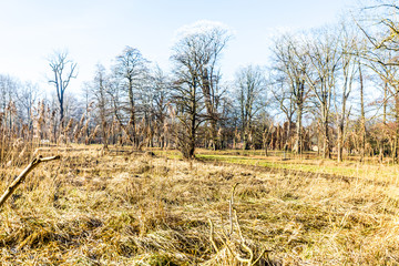 M&uuml;nster in Bad Doberan