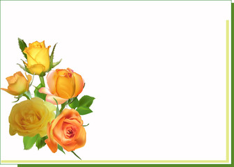 bunch of five orange roses in green frame