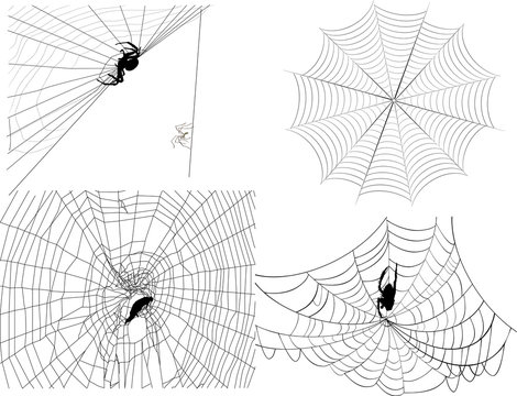 four isolated black spider webs
