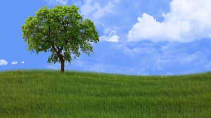 Fototapeta na wymiar rural landscape with grass and tree