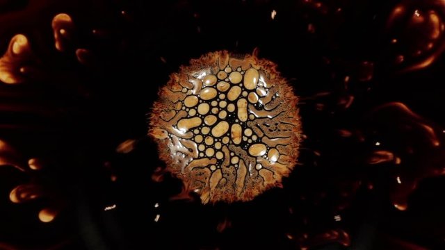 Fantastic patterns and shapes. Ferrofluid and paint. Close-up.