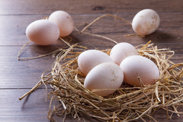 Eggs in the nest good food for healthy