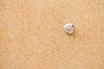 Cose up open outdoor rain shower at swimming pool.