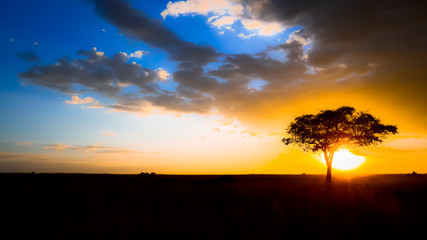 Africa Sunset Tree