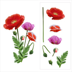 Fototapeta premium set of colored mosaic poppies on white background. easy to modify. vector illustration.