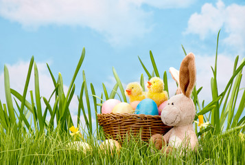 Fototapeta premium Easter eggs flowers grass sky blue yellow branch basket hare chick sheep