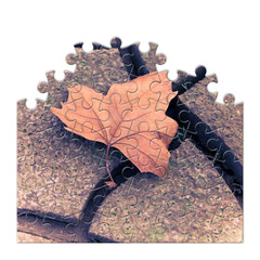 Isolated dry leaf on the ground - concept image in jigsaw puzzle shape