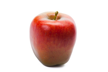 Red apple on white background