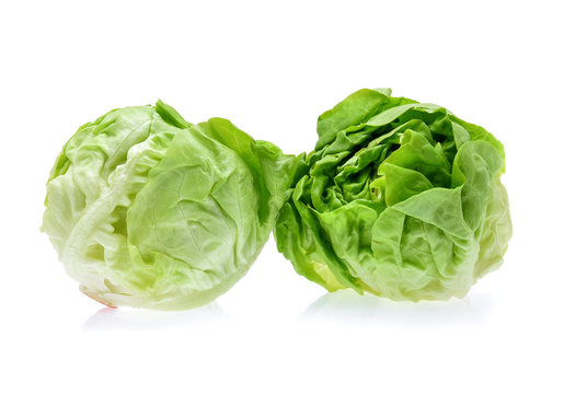 butterhead lettuce isolated on white background