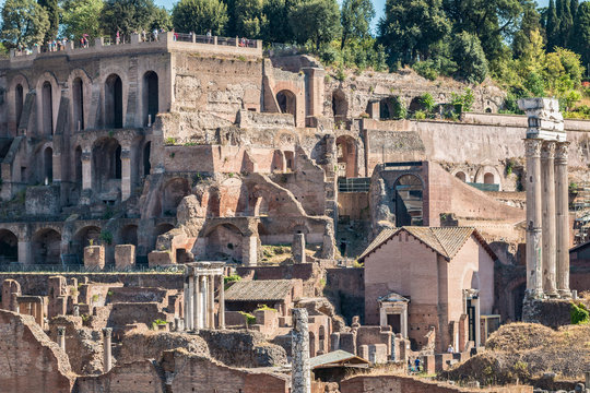 imperial forum of Rome