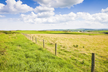 Fototapeta na wymiar Typical Irish flat landscape with fields of grass and wooden fence for grazing animals (Ireland)